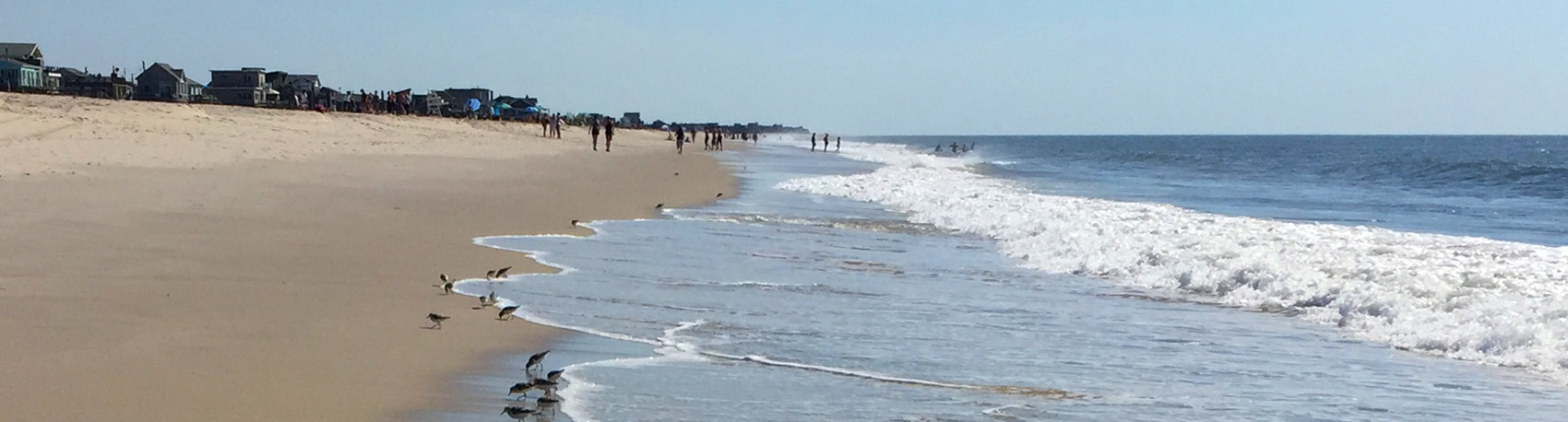 About-Fire-Island-New York Beach-Scene