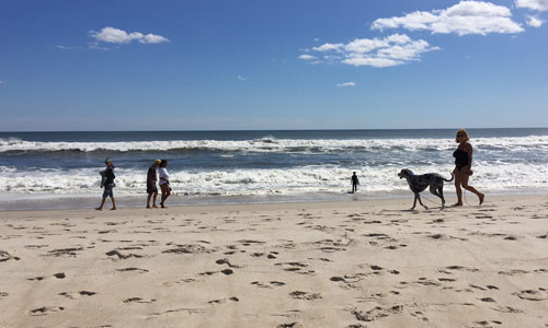 Beach-Scene-Dunewood-Fire-Island