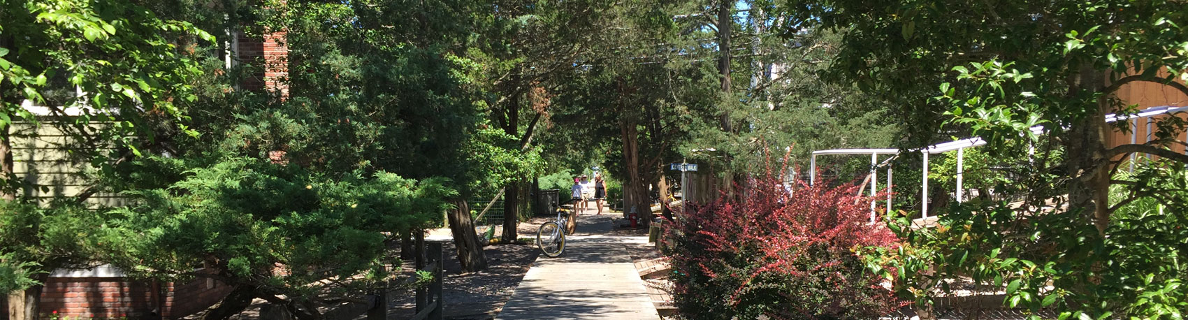 Towns-of-Fire-Island-Boardwalk-Scene