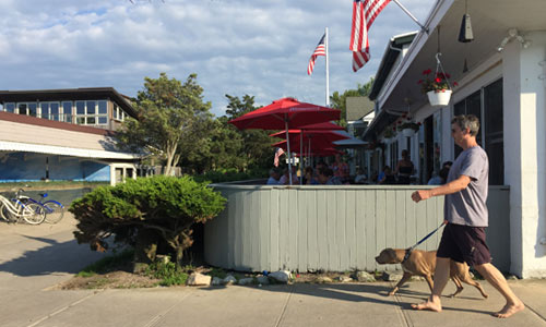 Walking-dog-Kismet-Fire-Island