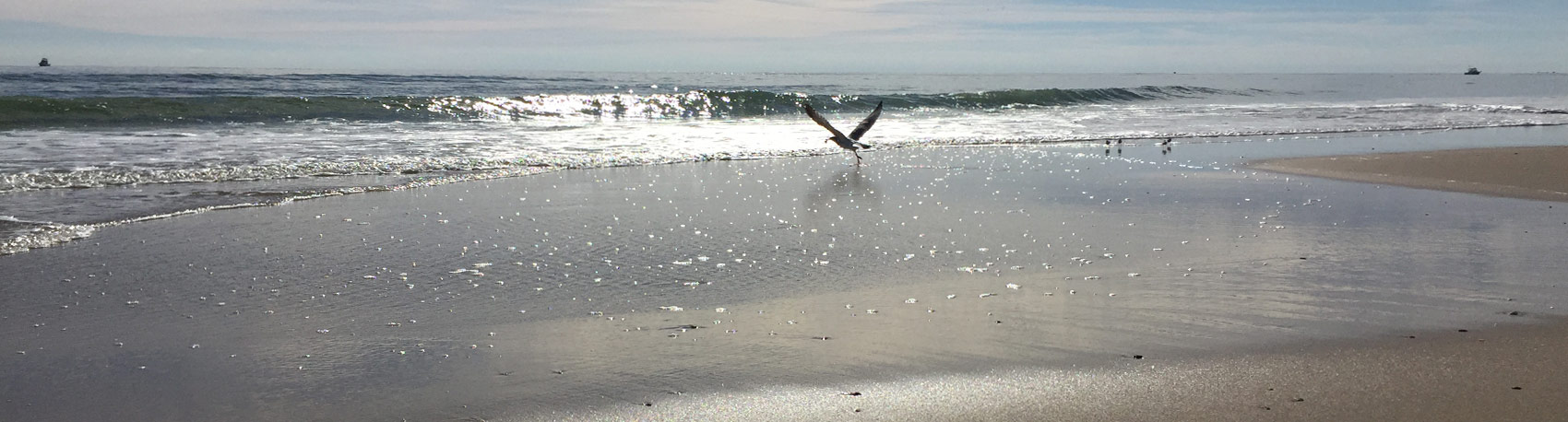 Fire Island Beach