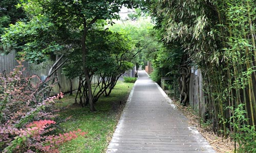 Boardwalk-in-Pines-Fire-Island