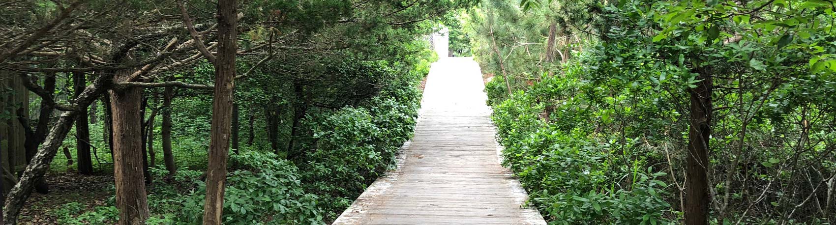 Fire-Island-Pines-Boardwalks